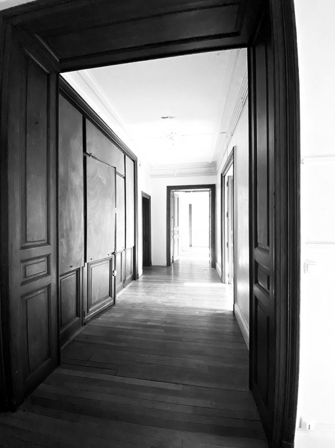 Appartement de type Haussmannien - Avant